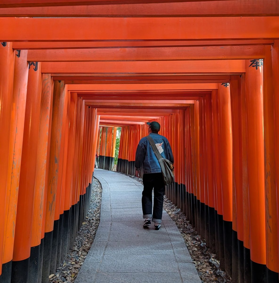 Gabryel, de dos, marchant sous les torii vermillon de Fushimi Inari à Kyoto